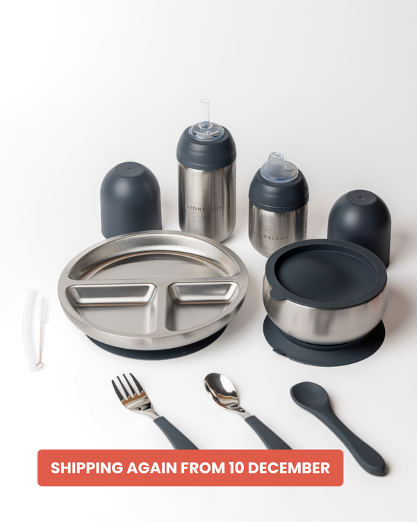 4-Piece | Mealtime Set 18/8 Grade Stainless Steel Bowl, Plate, Straw and Sippy Bottles