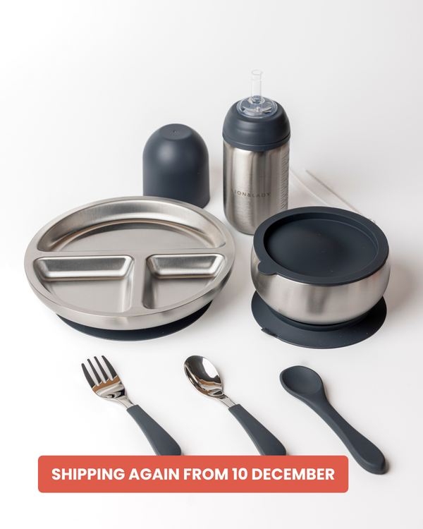 3-Piece | Mealtime Set 18/8 Grade Stainless Steel Bowl, Plate and Straw Cup Bottle (350ml)